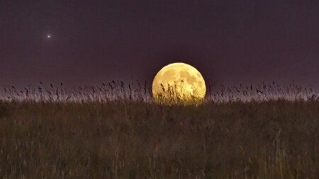 Luna Tu