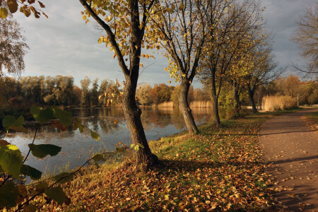 Английский парк в Петергофе