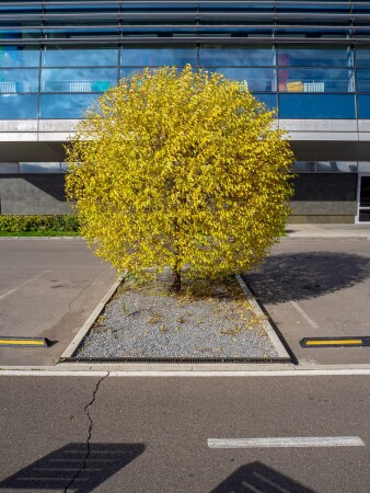 Город