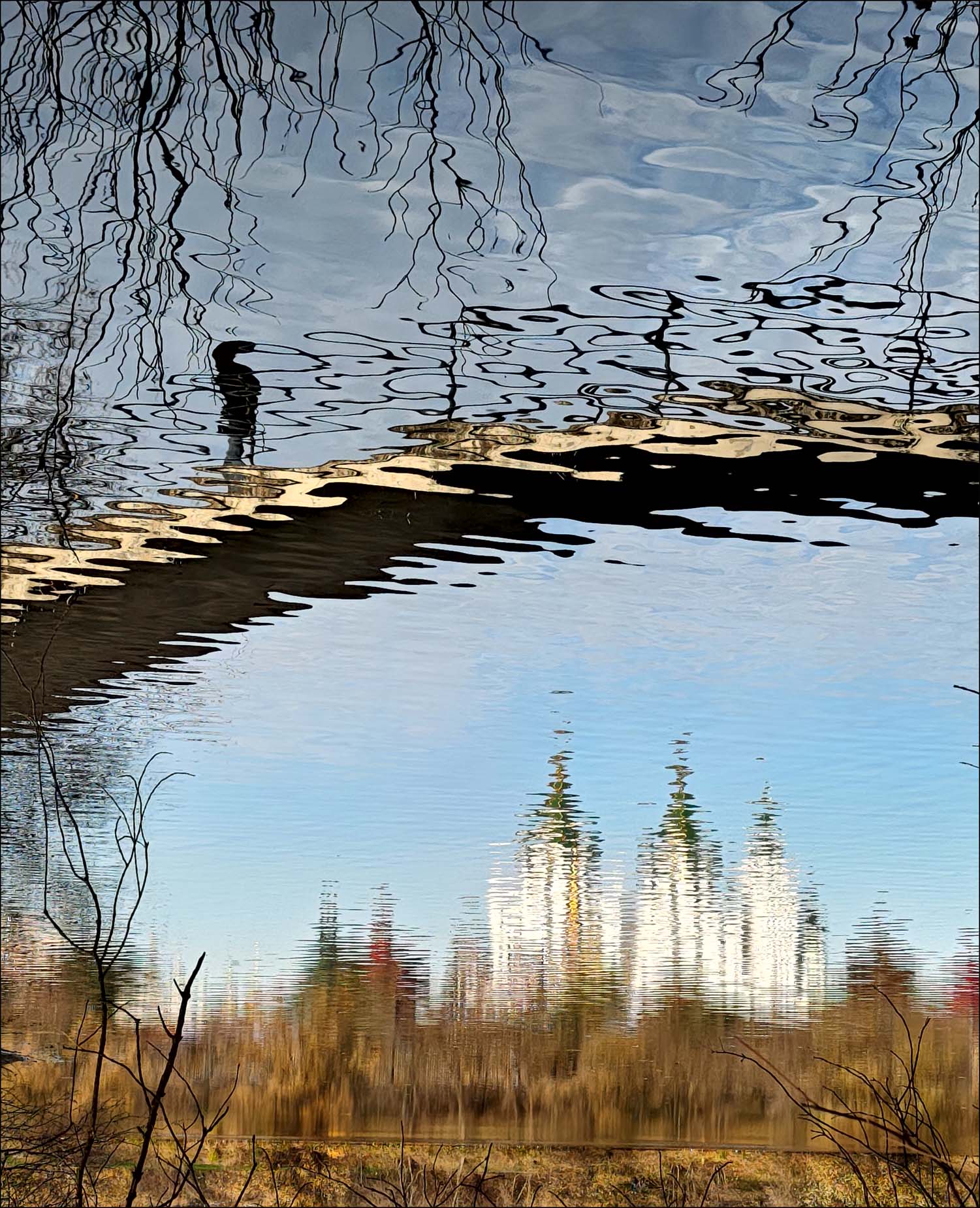 отражалка. раздел Разное