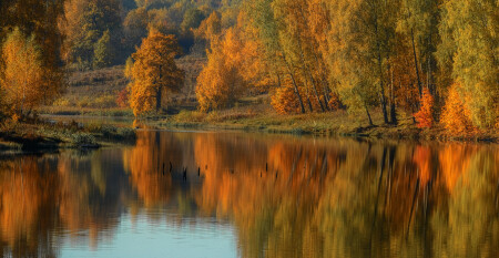 Краски осени.