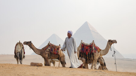 desert