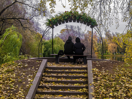 Созерцание осени.