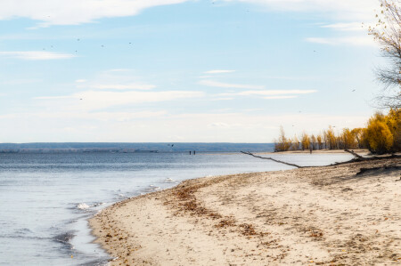 Осенний берег реки