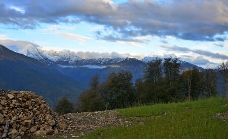 ***