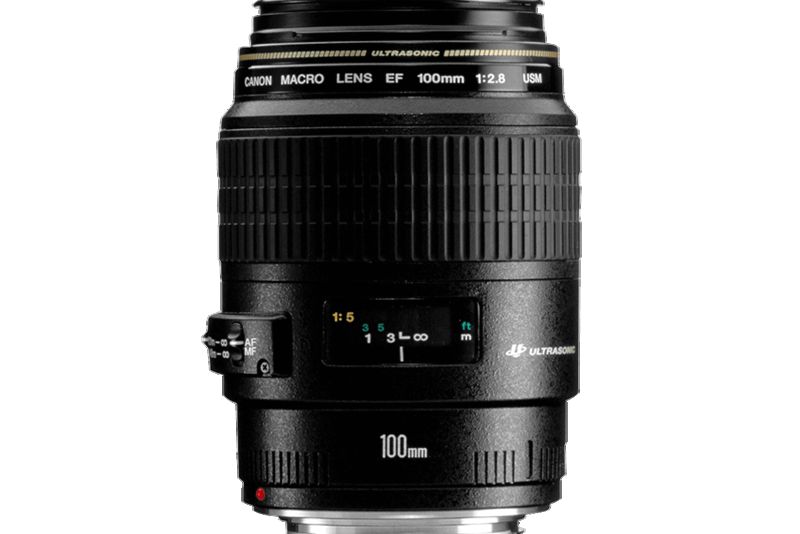 CANON EF 100 mm f/2.8L Macro IS USM